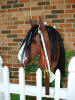 Clydesdale