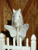 Pegasus